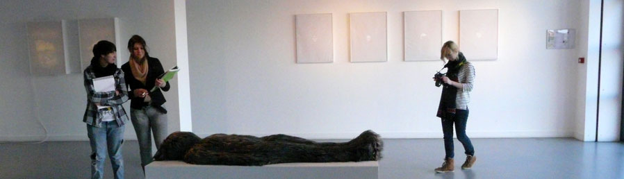 vue de l'exposition Elodie Wysocki