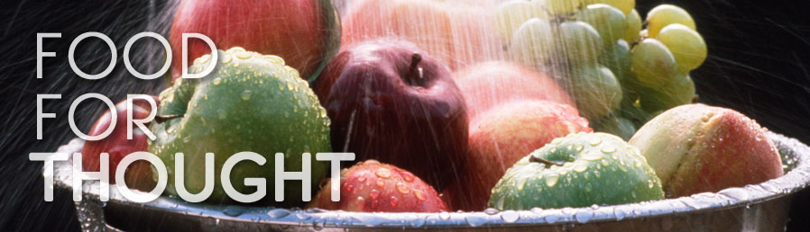 food for thought - projet comenius